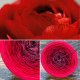 Magic OMBRÉ - Ranunculus 4-nitka/1500m