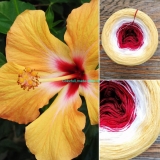Ibištek 3-nitka 200g/1000m hibiscus