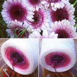 Ružová gerbera 4-nitka 400g/1500m Pink gerbera