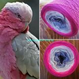 Ružovo-sivý papagáj 4-nitka 250g/1000m Pink-grey cockatoo