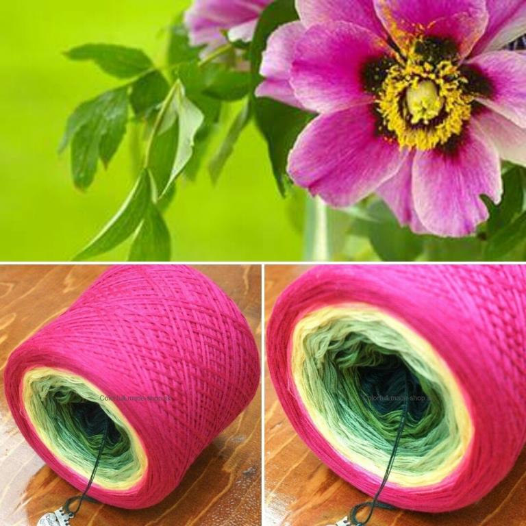 Sasanka 3-nitka/1500m Anemone