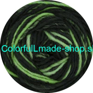 Fenice - Linie 432 - Black-Green-Blue