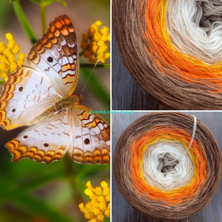 Motýle XVI. 3-nitka/1800m Butterflies XVI.