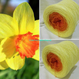Narcis 3-nitka 200g/1000m Daffodil